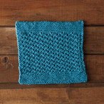 Sunny Days Dishcloth 