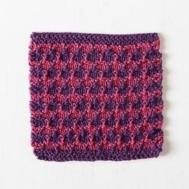 Mixed Berry Dishcloth