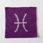 Zodiac Crochet Dishcloth Series - Pisces