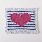 Perfectly Preppy Dishcloth