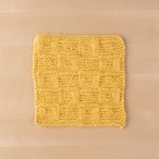 Bandera Dishcloth