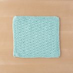 Saut Dishcloth