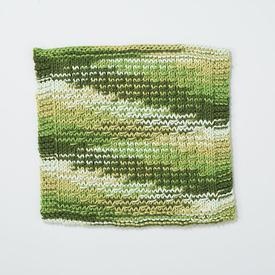 Cryptodira Dishcloth