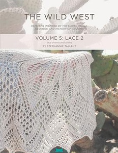 Wild West Lace 2 eBook