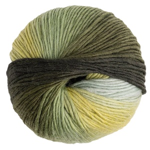 Reindeer Moss Chroma worsted Yarn - Shop Quality Knitting Supplies