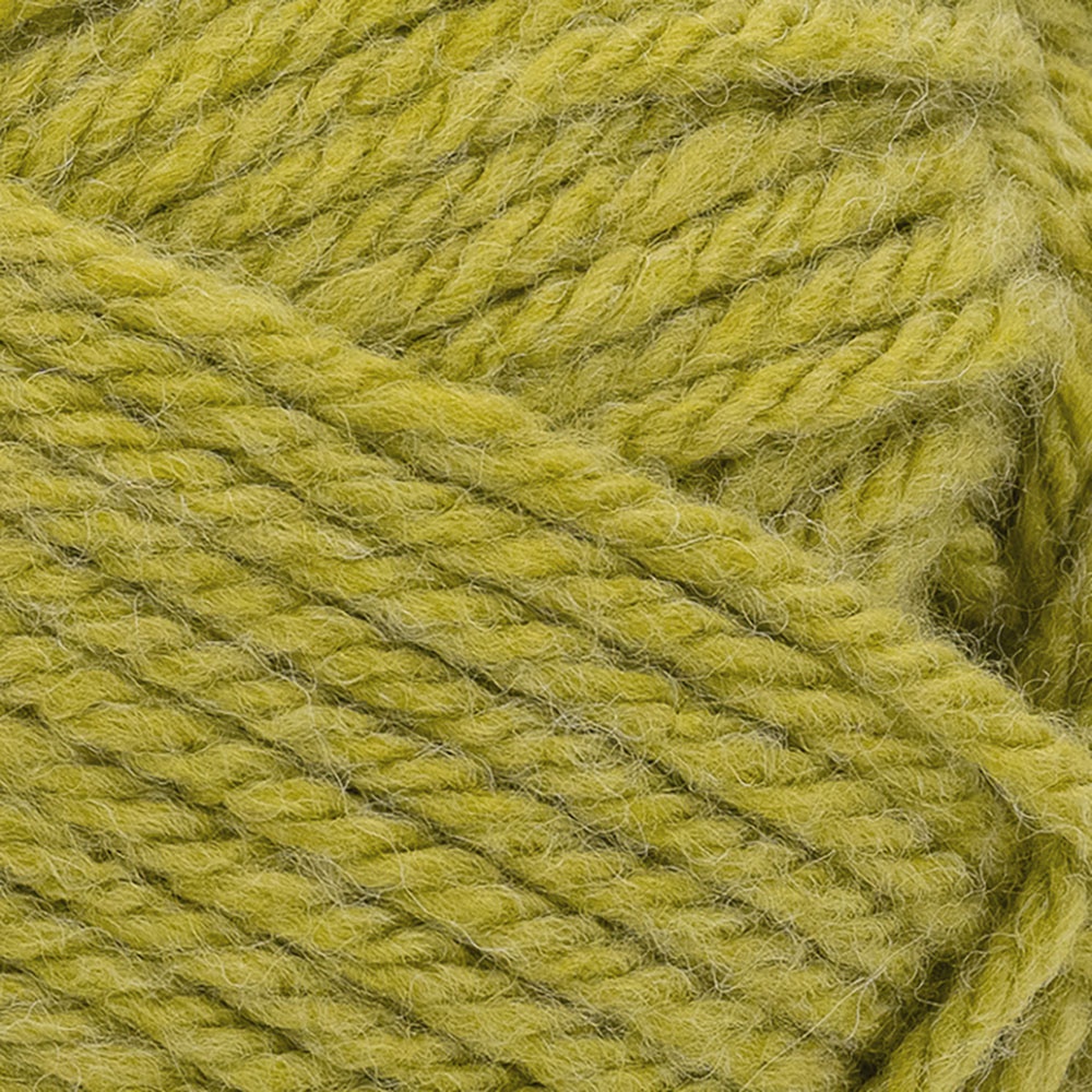 Dirty Chartreuse – Worsted Weight Wool Yarn