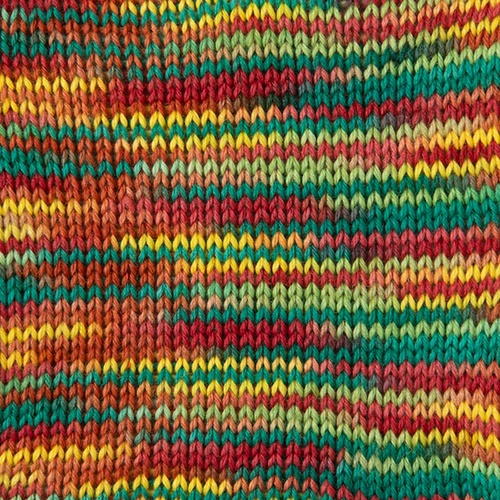 Image of One Love Hand Paint - Stroll Effects Yarn