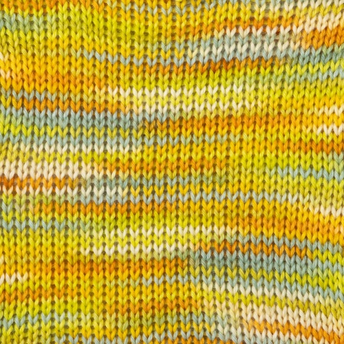 Image of Spring Meadow Hand Paint - Stroll Effects Yarn