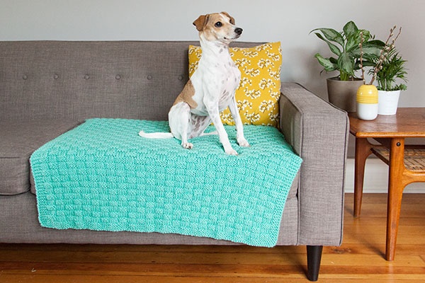 Comfort Knit Pet Blanket Knitpicks Com
