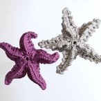 Majestic Starfish of the Perpetual Pattern