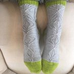 Cotyledon Socks Pattern
