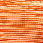 Clownfish