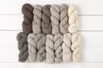 Complete Simply Wool Bulky Value Pack
