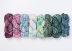 Muse Sock Yarn Value Pack - Speckles