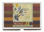 Earthues Botanical Dye Kit 