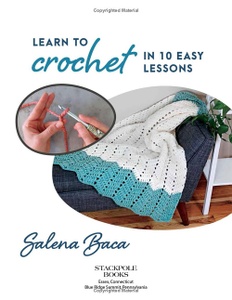 Mini Hook Book: Learn to Crochet