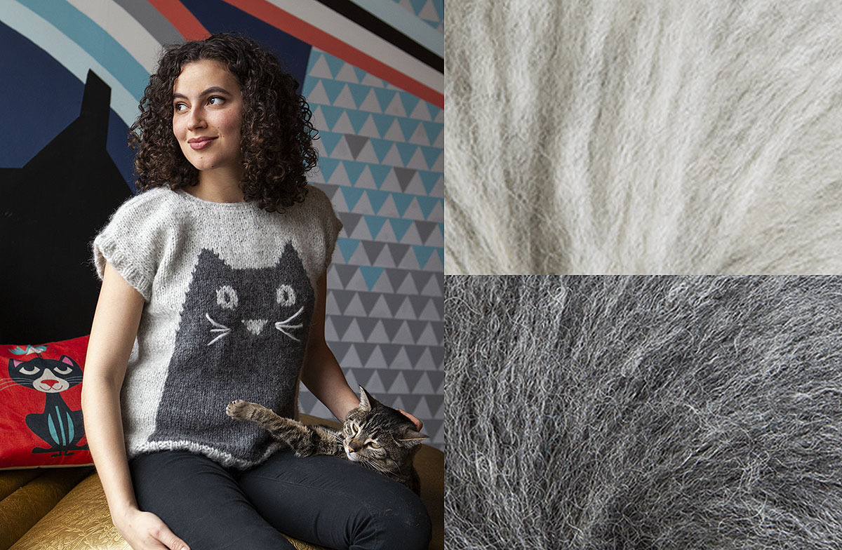 Professor Meow Pattern Knitting Kit